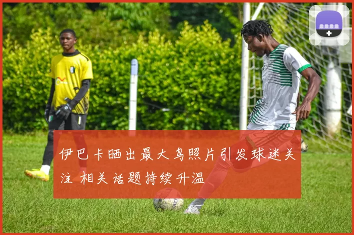 伊巴卡晒出最大鸟照片引发球迷关注 相关话题持续升温