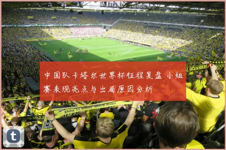 中国队卡塔尔世界杯征程复盘 小组赛表现亮点与出局原因分析