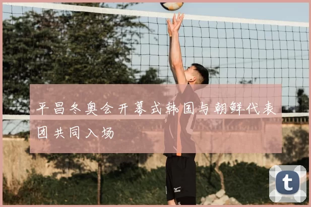 平昌冬奥会开幕式韩国与朝鲜代表团共同入场