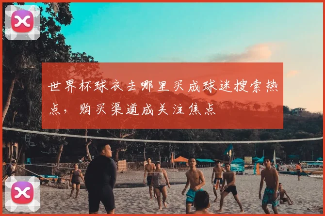 世界杯球衣去哪里买成球迷搜索热点,购买渠道成关注焦点