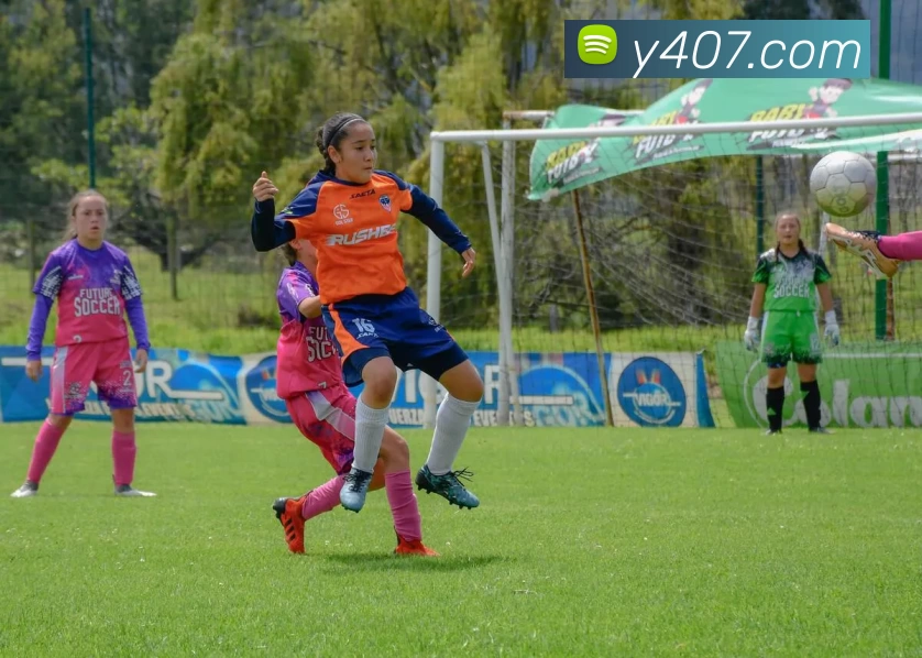 乐竞体育(中国)官方网站 - 登录入口平台生态图